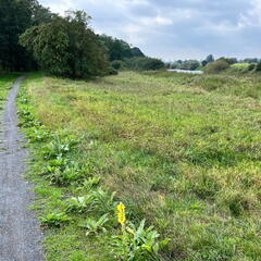 23-09-23 11-35-24 7345